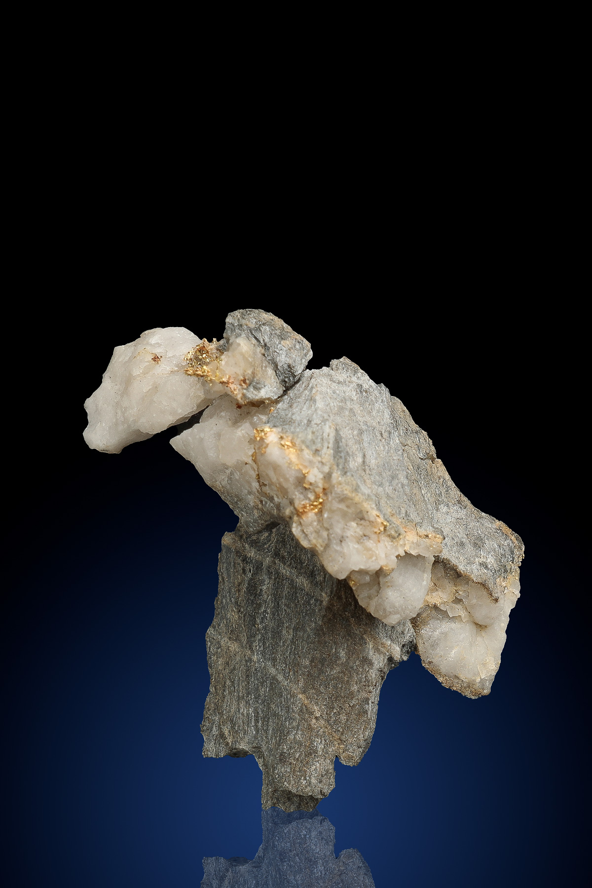 Unique And Connected Gold Vein - Gold and Quartz - Harvard, CA